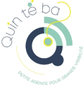 Agence web QUIN TE BA
